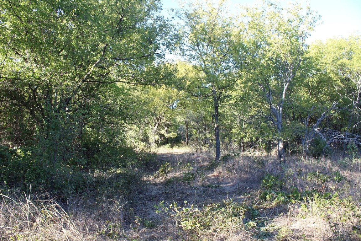 000 Eureka School Road Nocona TX 76255