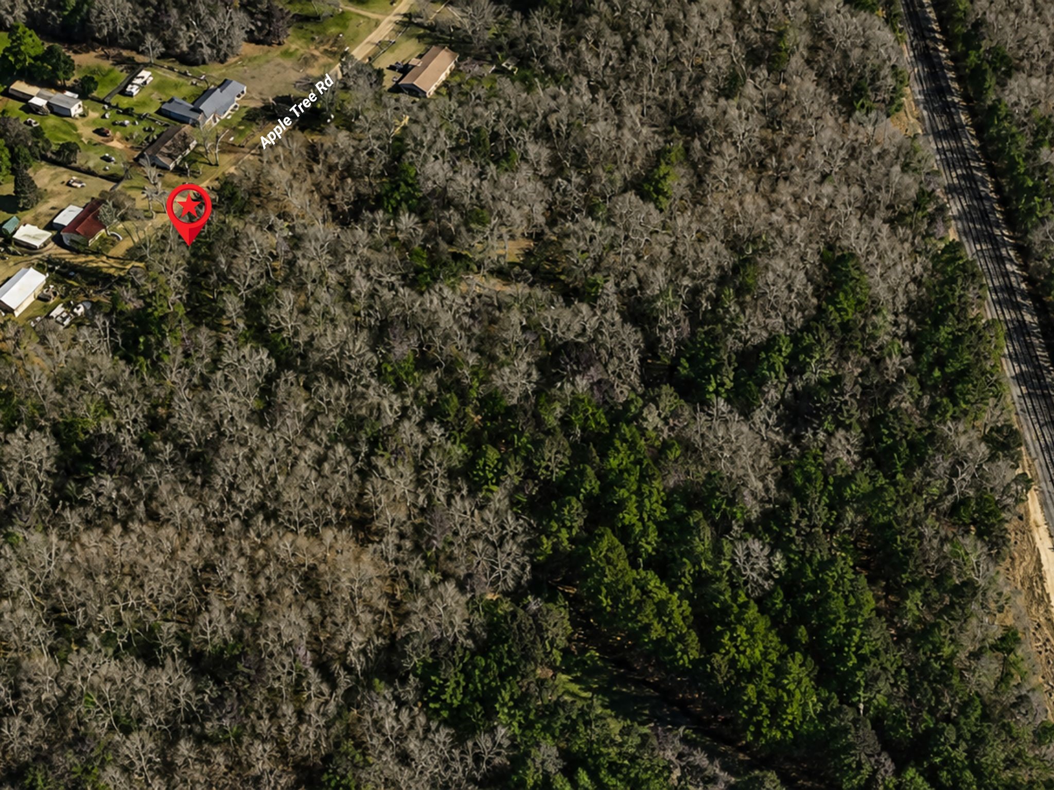 Tbd Apple Tree Road Gilmer TX 75644