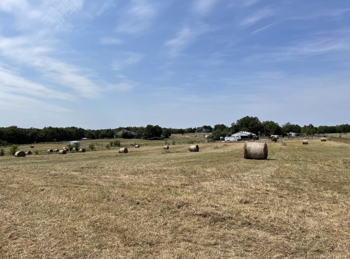 11321 Wild Rose Lane Anna TX 75409