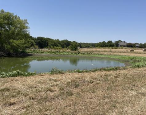 11321 Wild Rose Lane Anna TX 75409