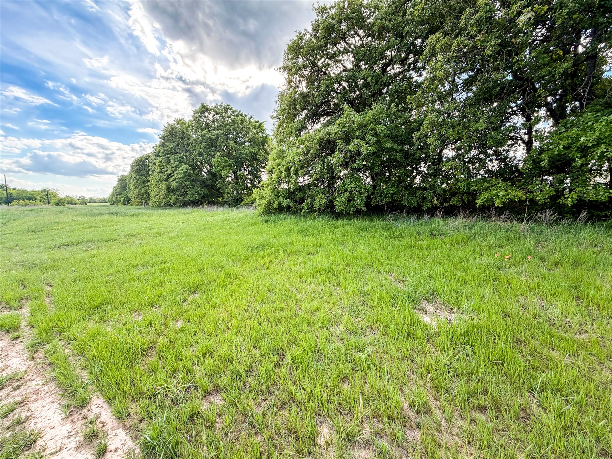 Tbd Private Road 7782 Wills Point TX 75169