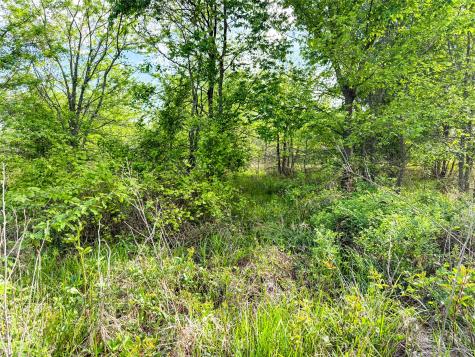 Tbd Private Road 7782 Wills Point TX 75169