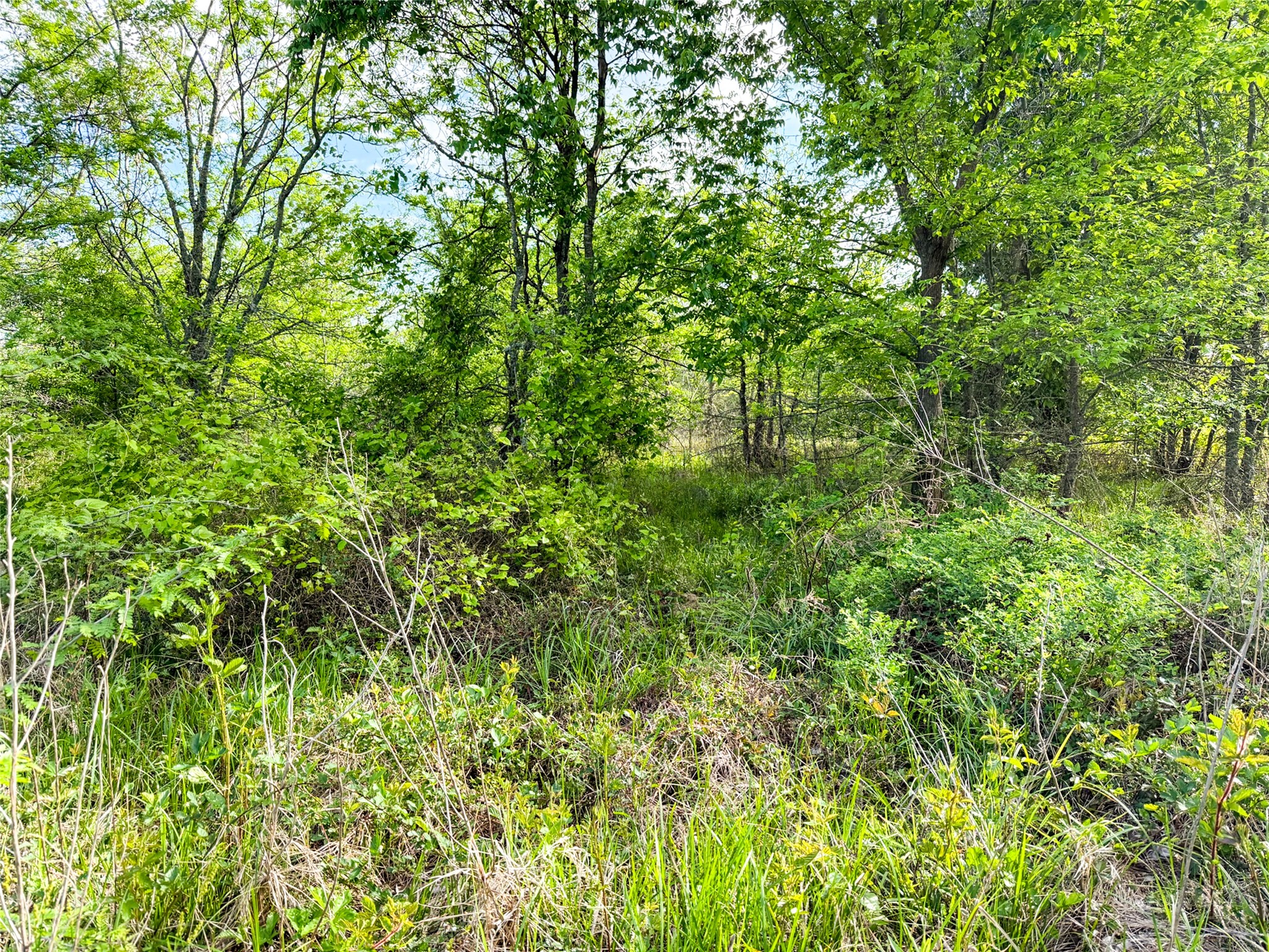 Tbd Private Road 7782 Wills Point TX 75169