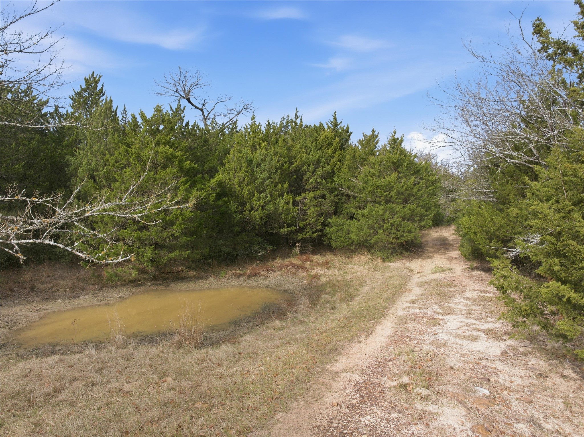 Tbd Lcr 762 Groesbeck TX 76642