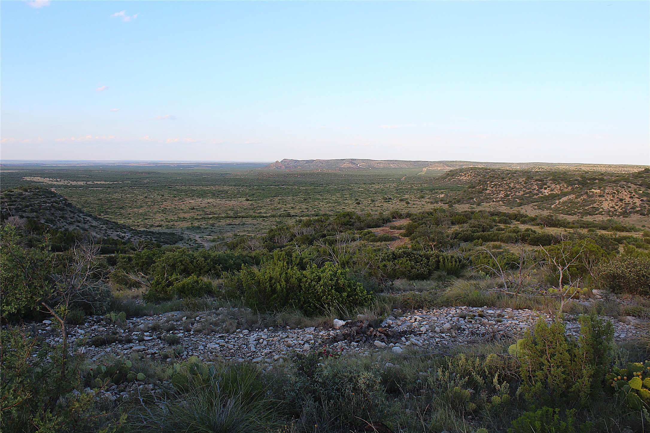 Tbd T5 Highway 208 Robert Lee TX 76945