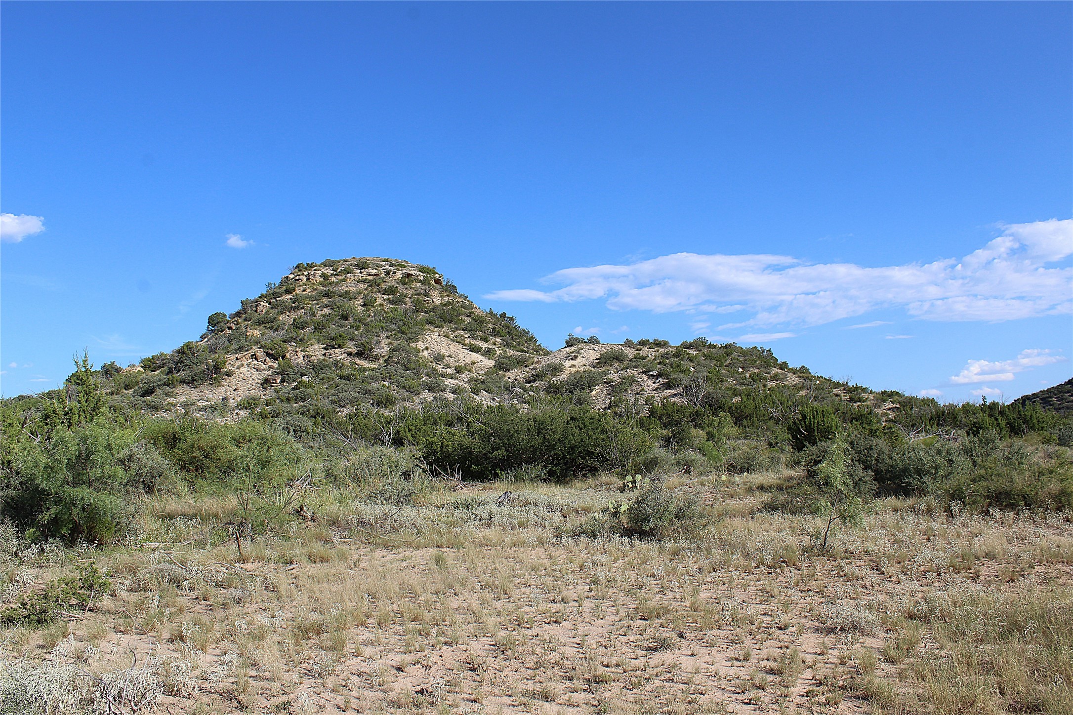 Tbd T5 Highway 208 Robert Lee TX 76945