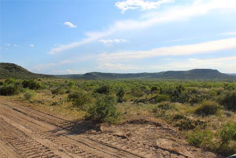 Tbd T5 Highway 208 Robert Lee TX 76945