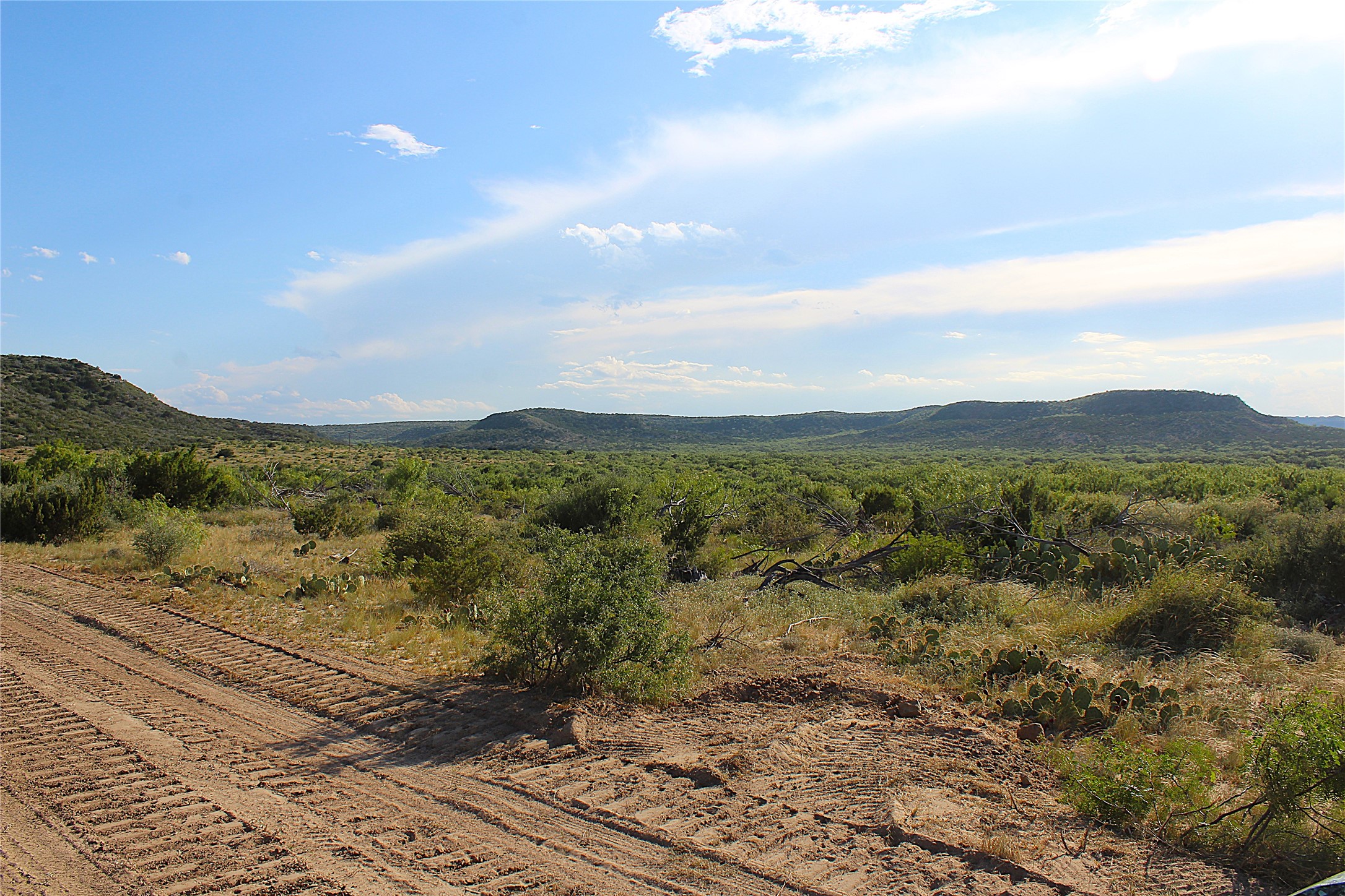 Tbd T5 Highway 208 Robert Lee TX 76945