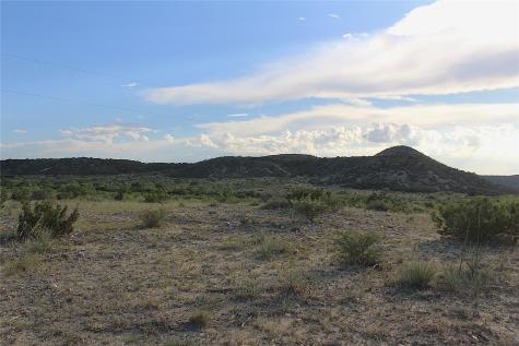 Tbd T5 Highway 208 Robert Lee TX 76945