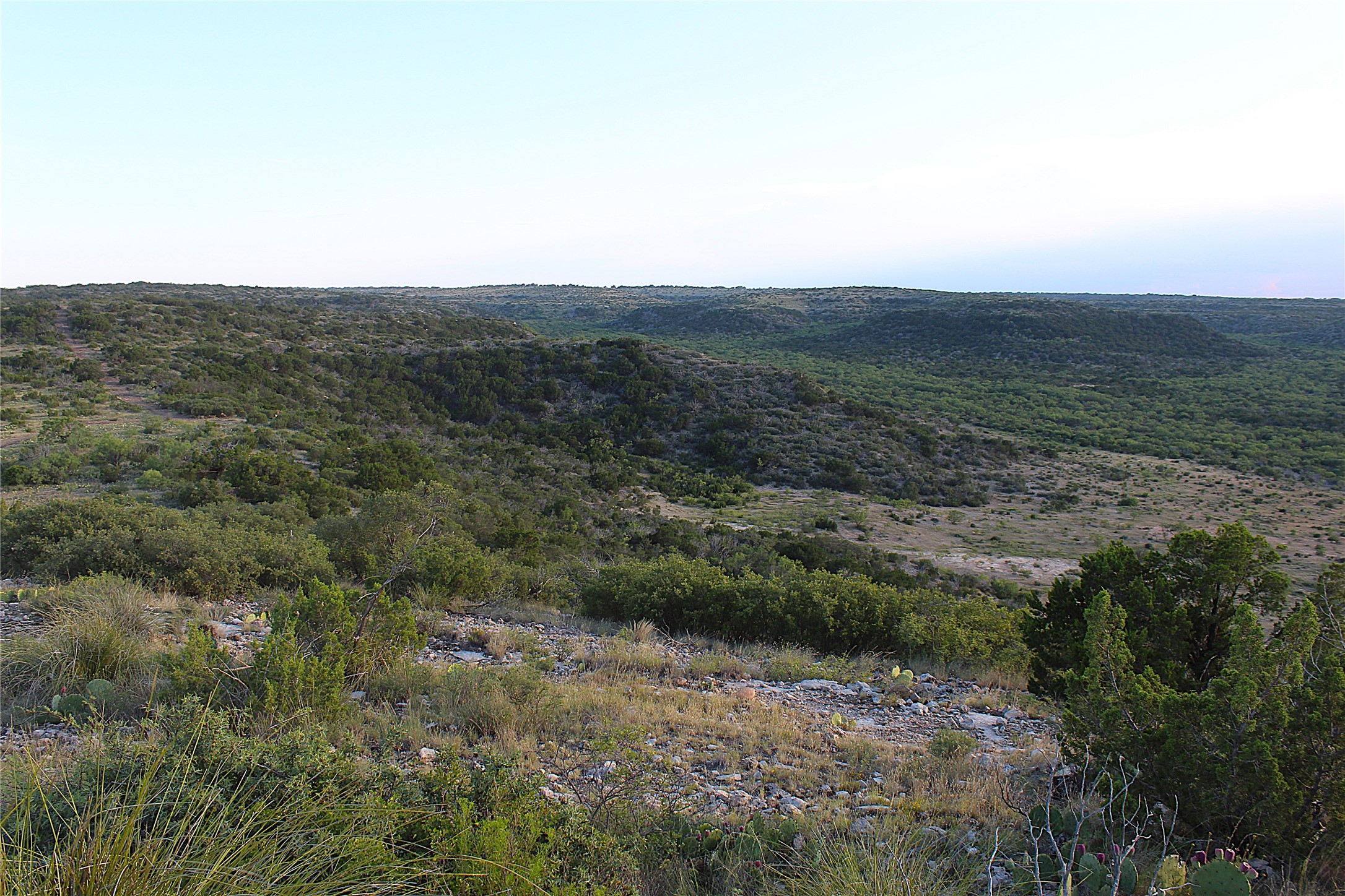 Tbd T5 Highway 208 Robert Lee TX 76945