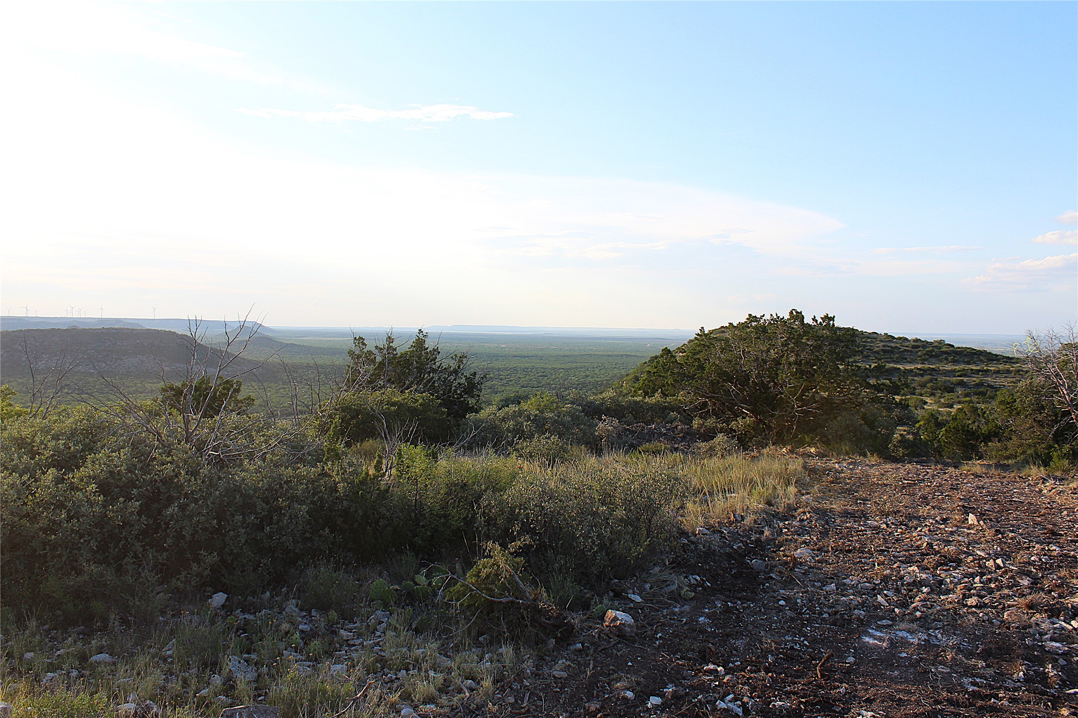Tbd T5 Highway 208 Robert Lee TX 76945