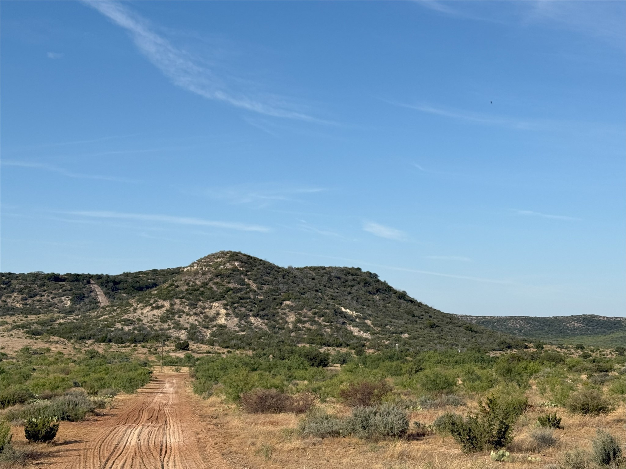Tbd T5 Highway 208 Robert Lee TX 76945