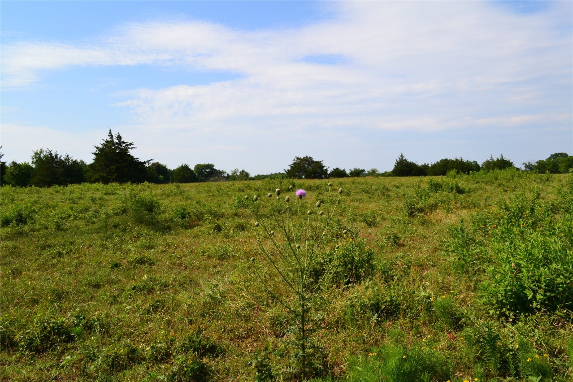 Tract 2 Tbd County Road 2244 Road Quinlan TX 75474