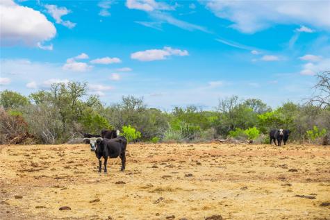 000TBD Highway 377 Mercury TX 76872