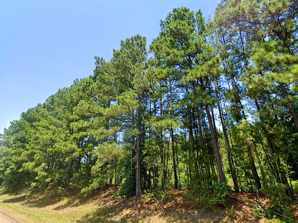 0 Highway 155 Avinger TX 68846