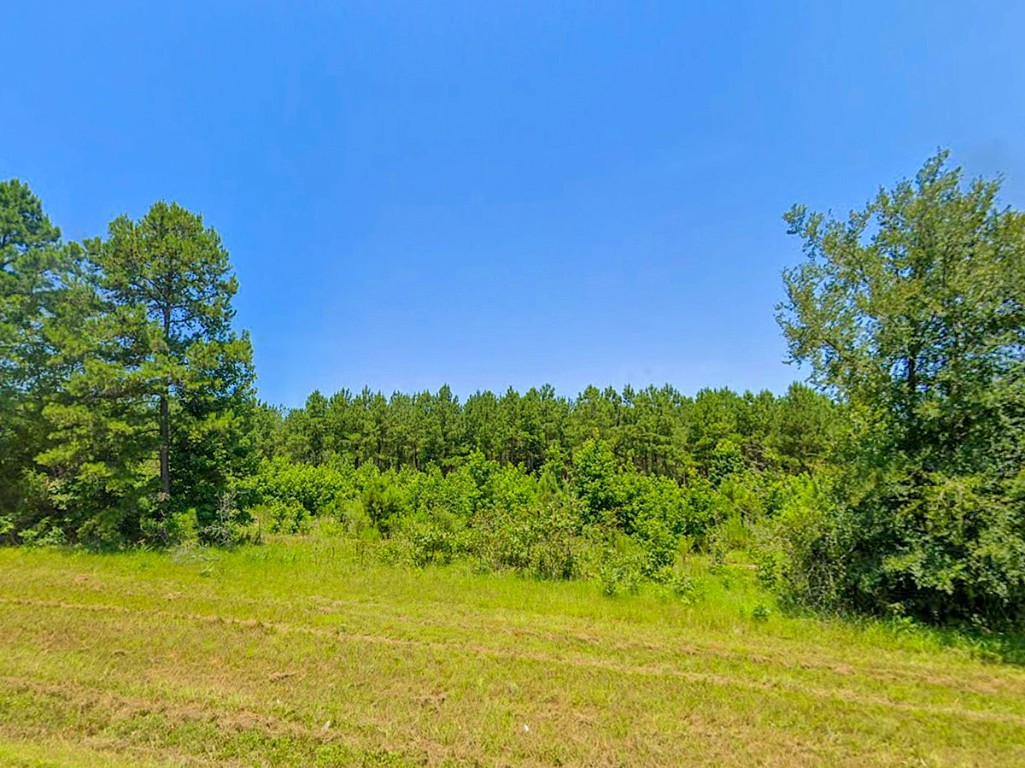 0 Highway 155 Avinger TX 68846