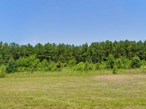 0 Highway 155 Avinger TX 68846