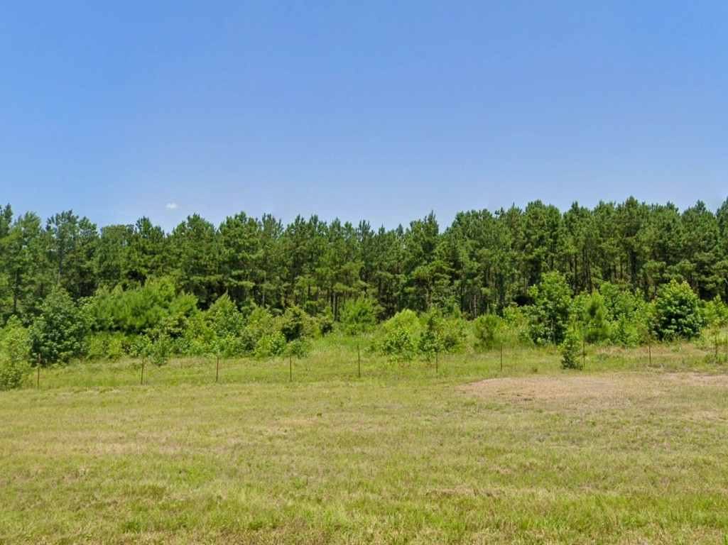 0 Highway 155 Avinger TX 68846