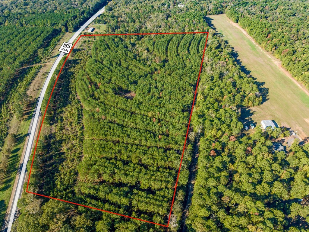 0 Highway 155 Avinger TX 68846