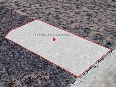239 Private Road Skidmore TX 78389