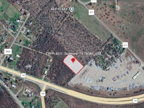 239 Private Road Skidmore TX 78389