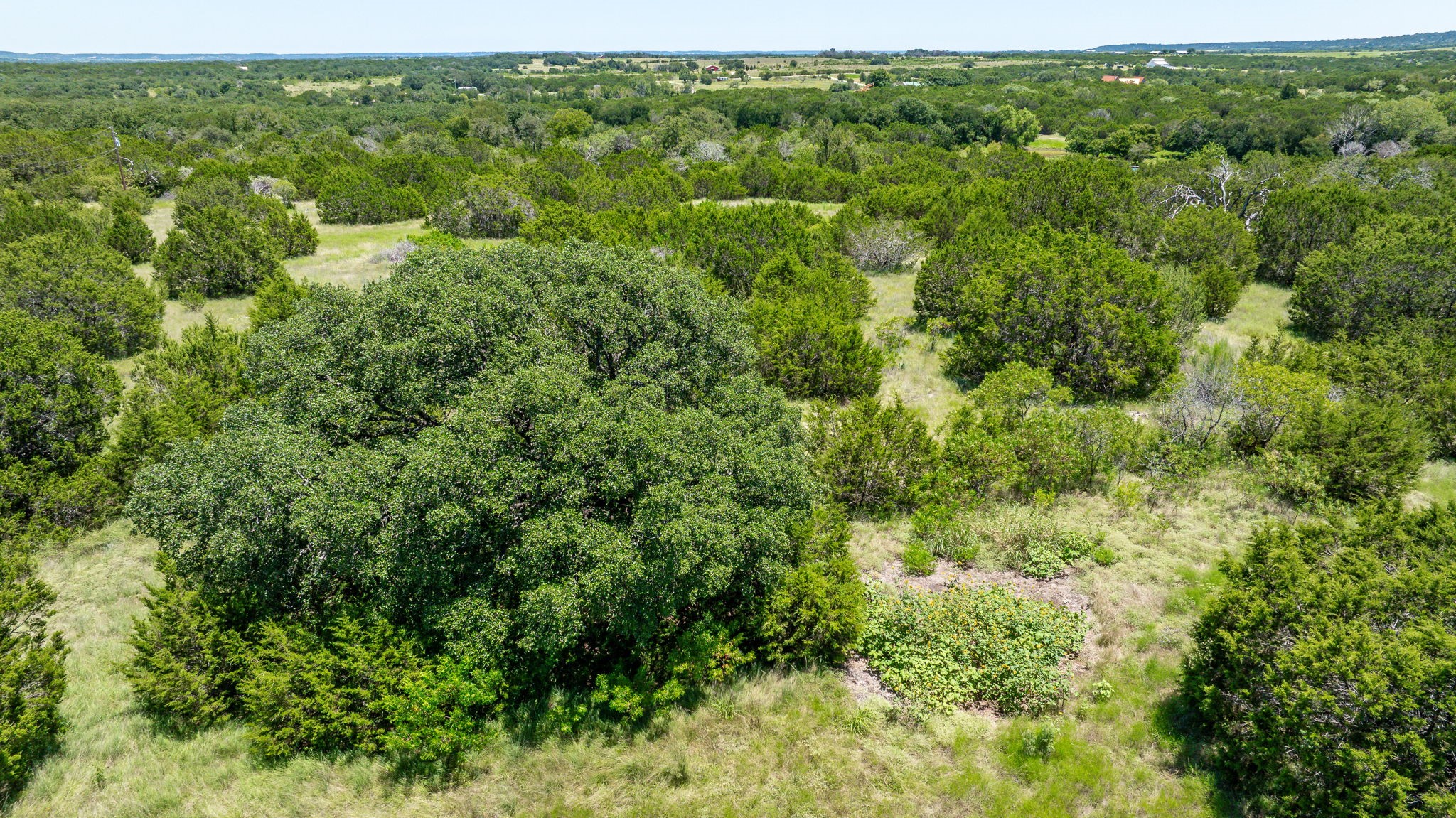 1800 County Road 2140 Iredell TX 76649