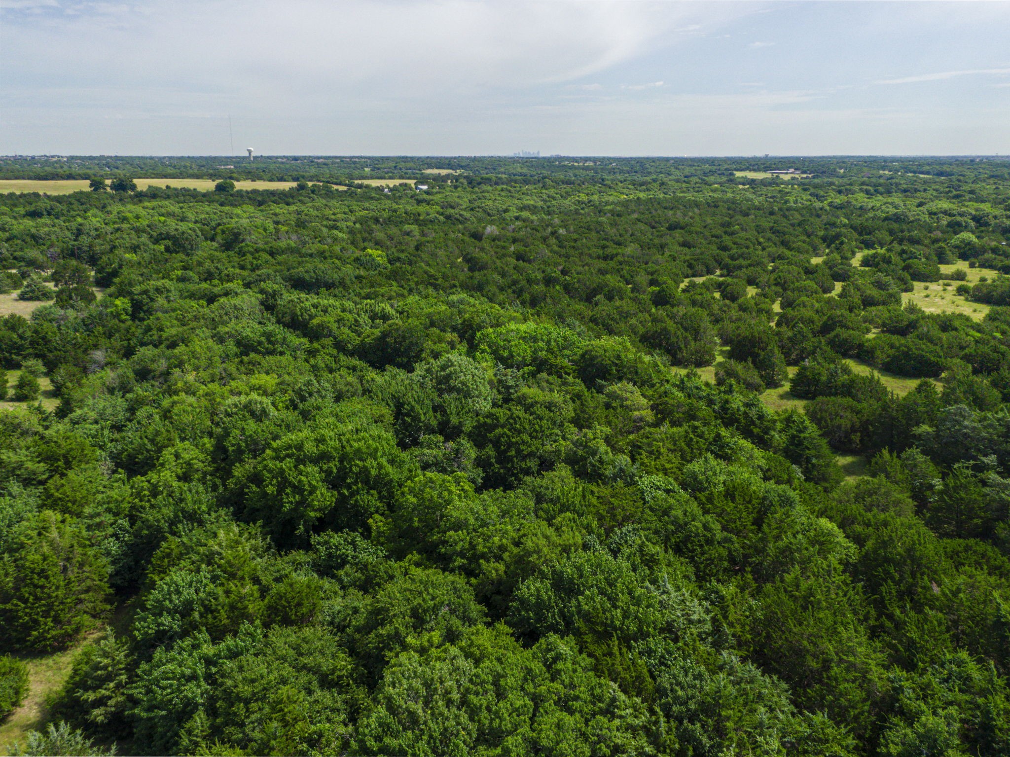 000 Tar Road Cedar Hill TX 75104