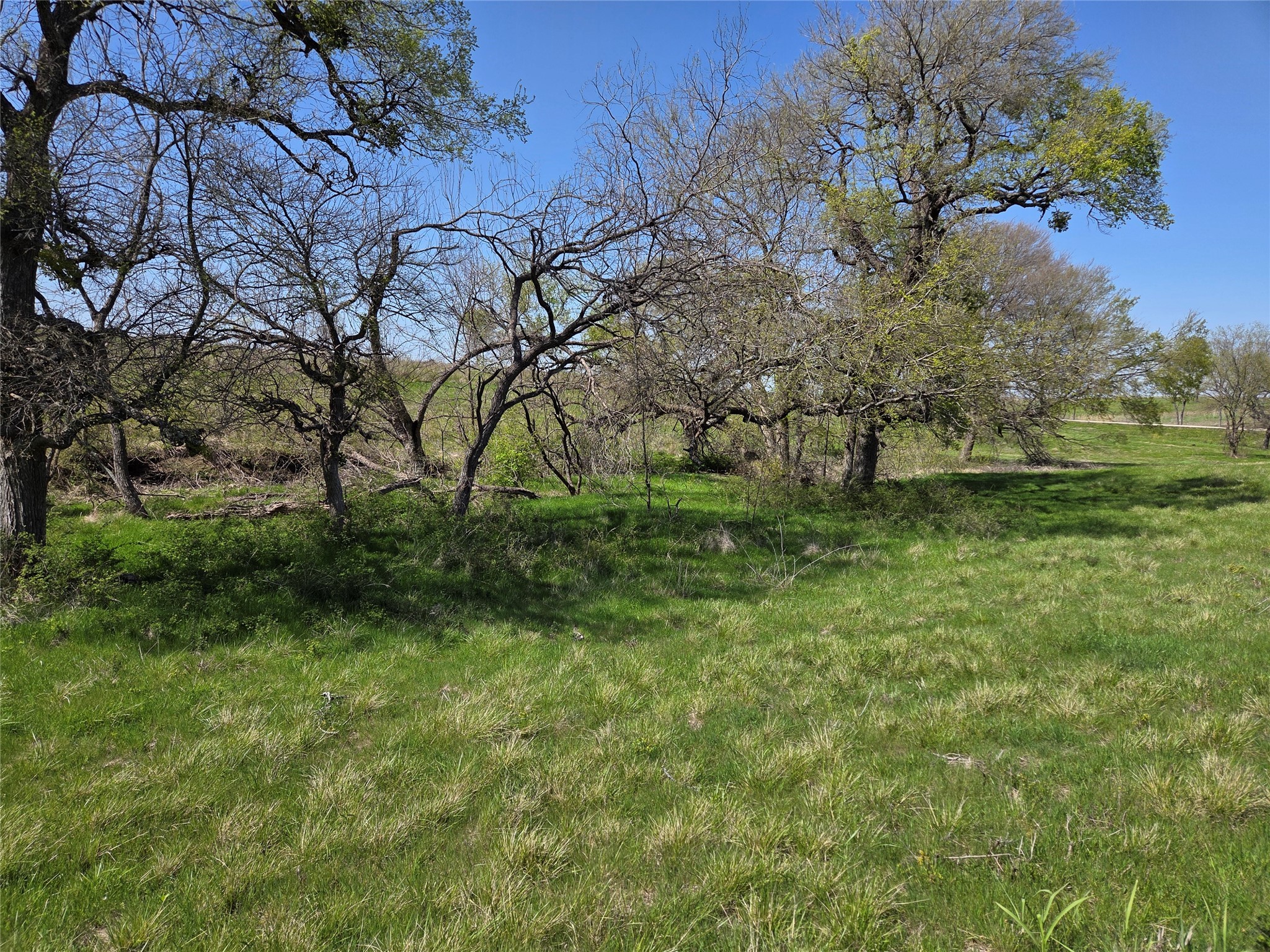 Lot 13 & 14 Barefoot Bay Boulevard Corsicana TX 75109