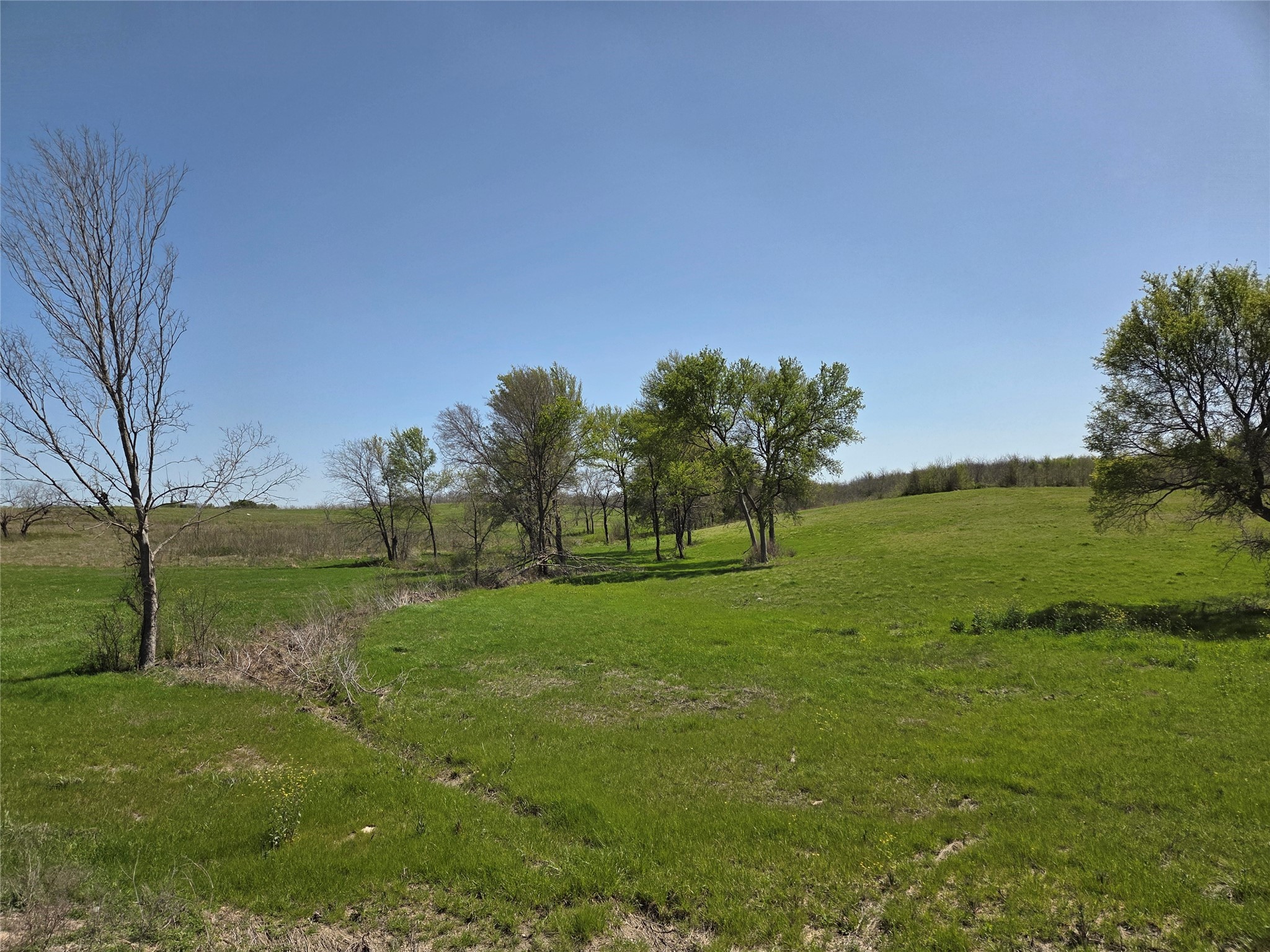 Lot 13 & 14 Barefoot Bay Boulevard Corsicana TX 75109