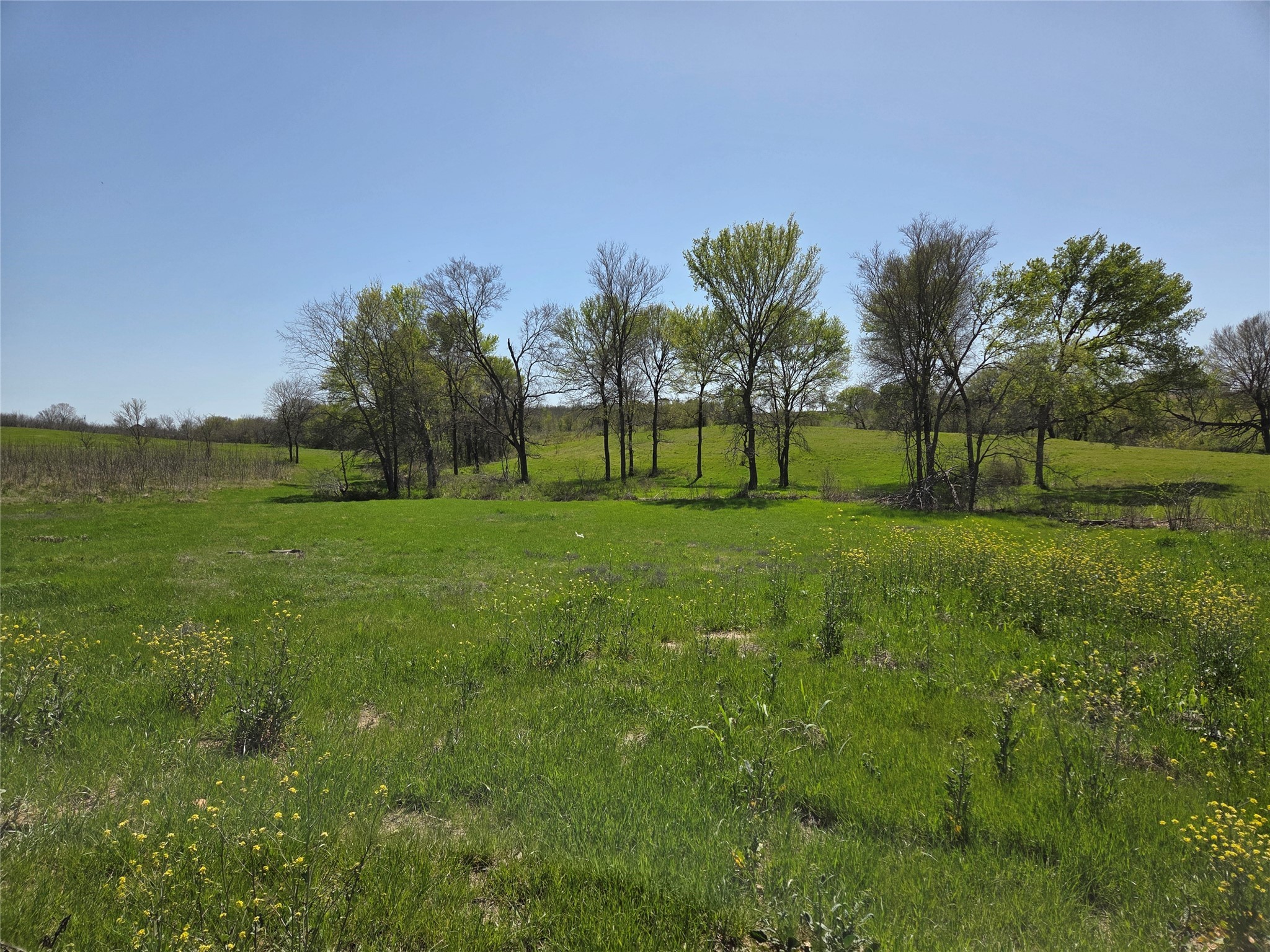 Lot 13 & 14 Barefoot Bay Boulevard Corsicana TX 75109