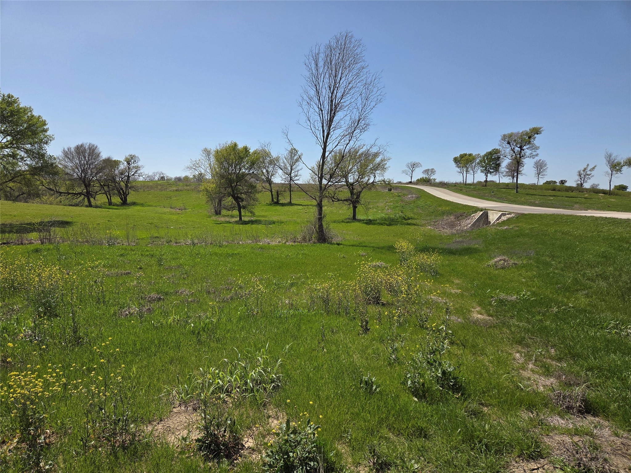 Lot 13 & 14 Barefoot Bay Boulevard Corsicana TX 75109