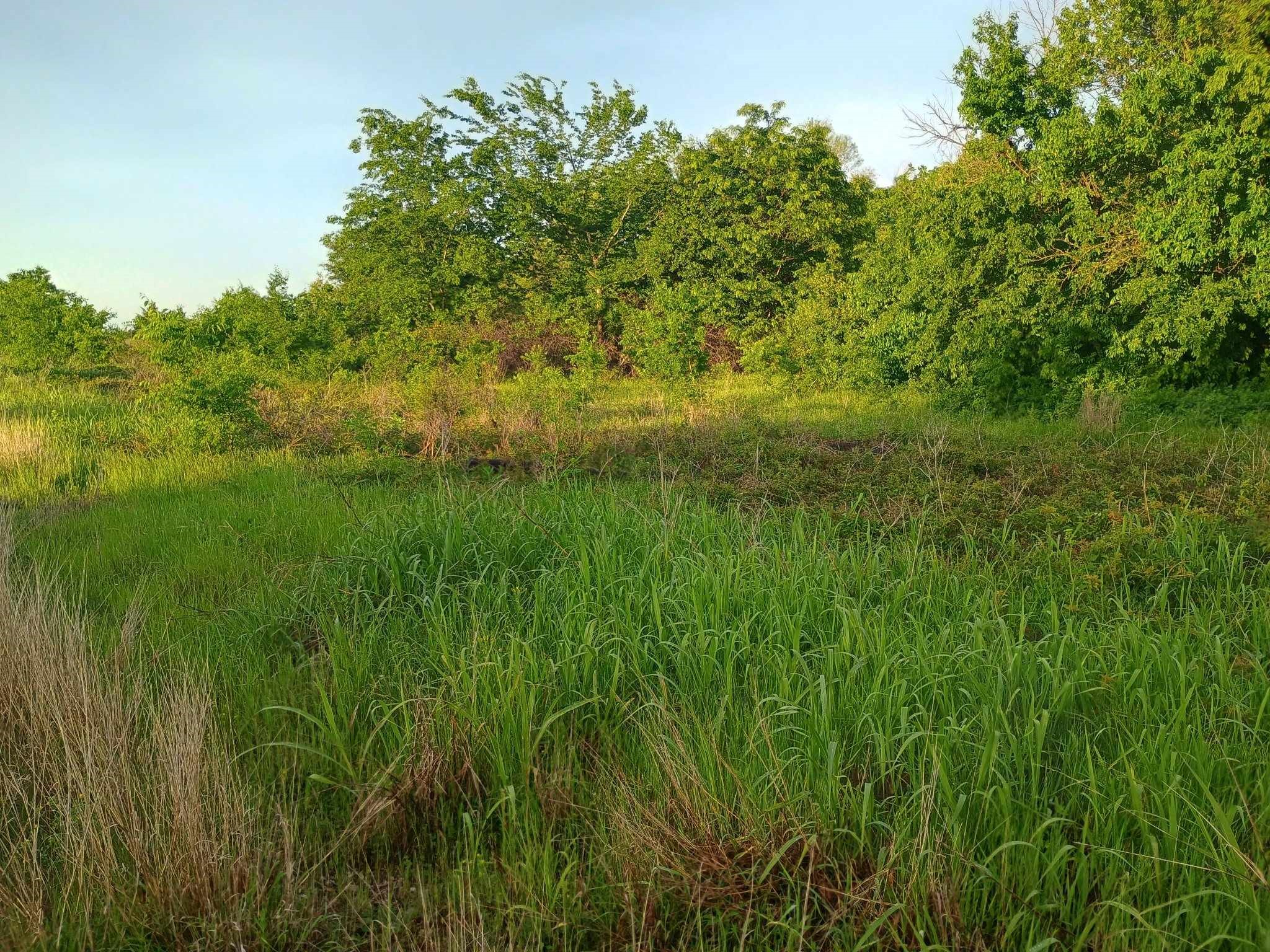 5330 E I- 30 Campbell TX 75422