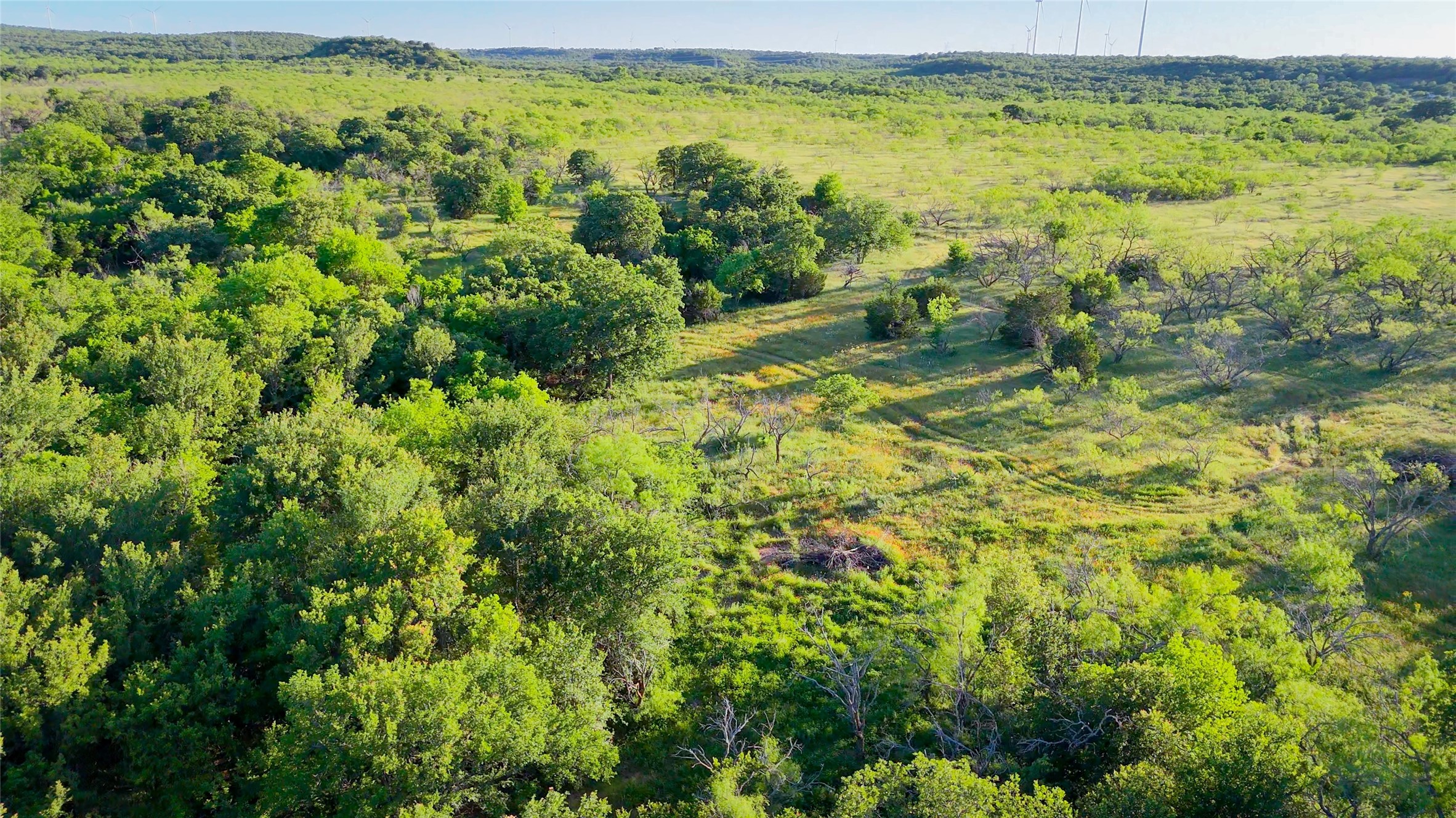 Tbd Burwick Bryson TX 76427