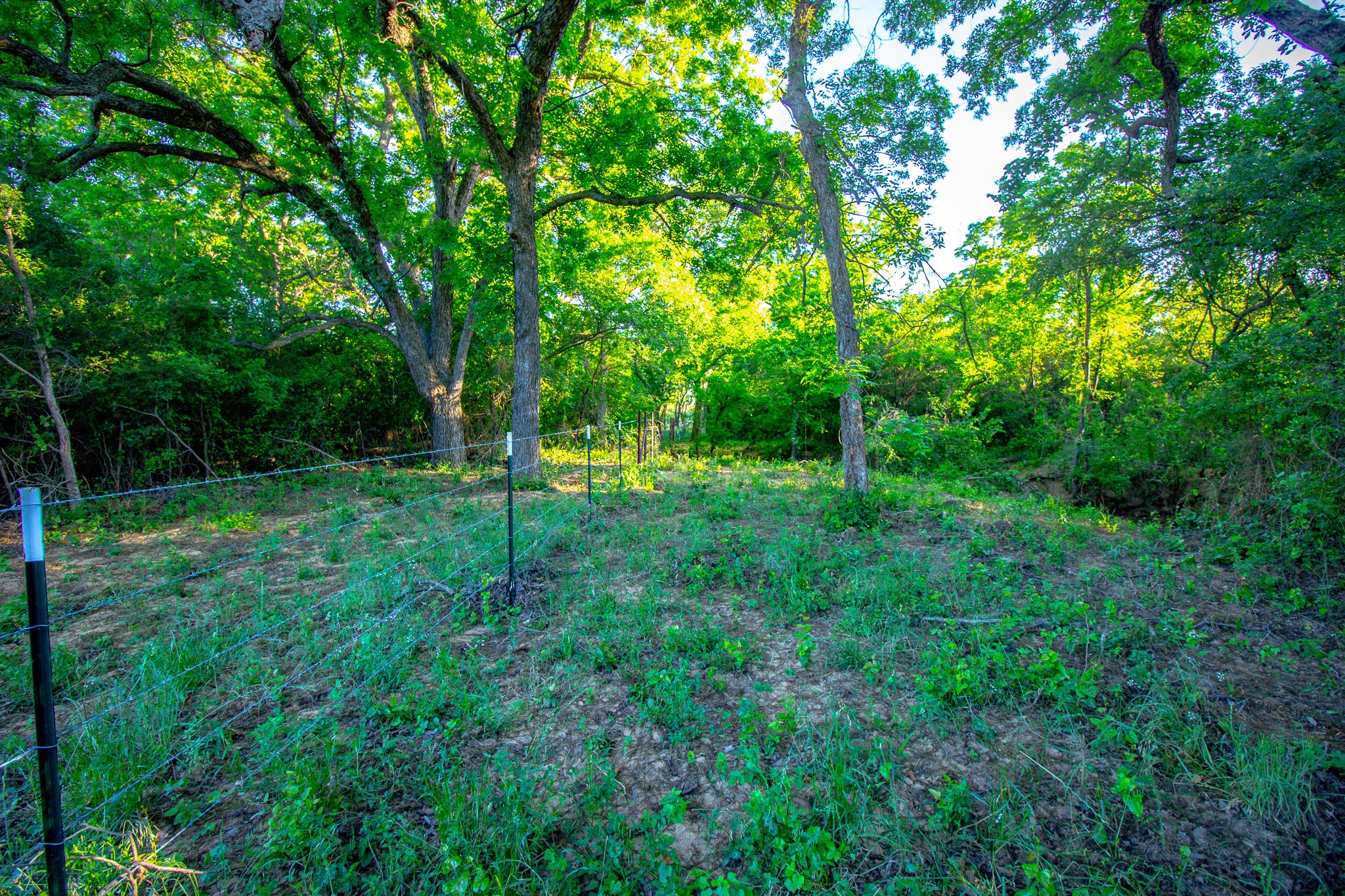 Tbd Burwick Bryson TX 76427