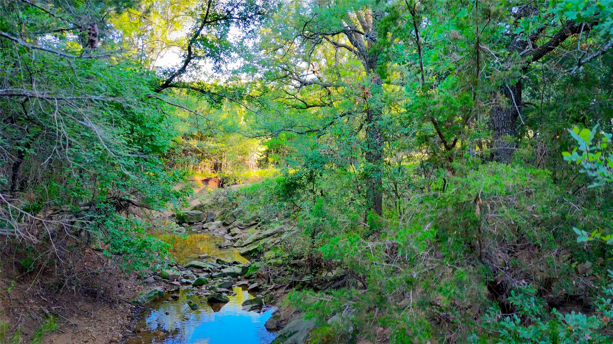 Tbd Burwick Bryson TX 76427