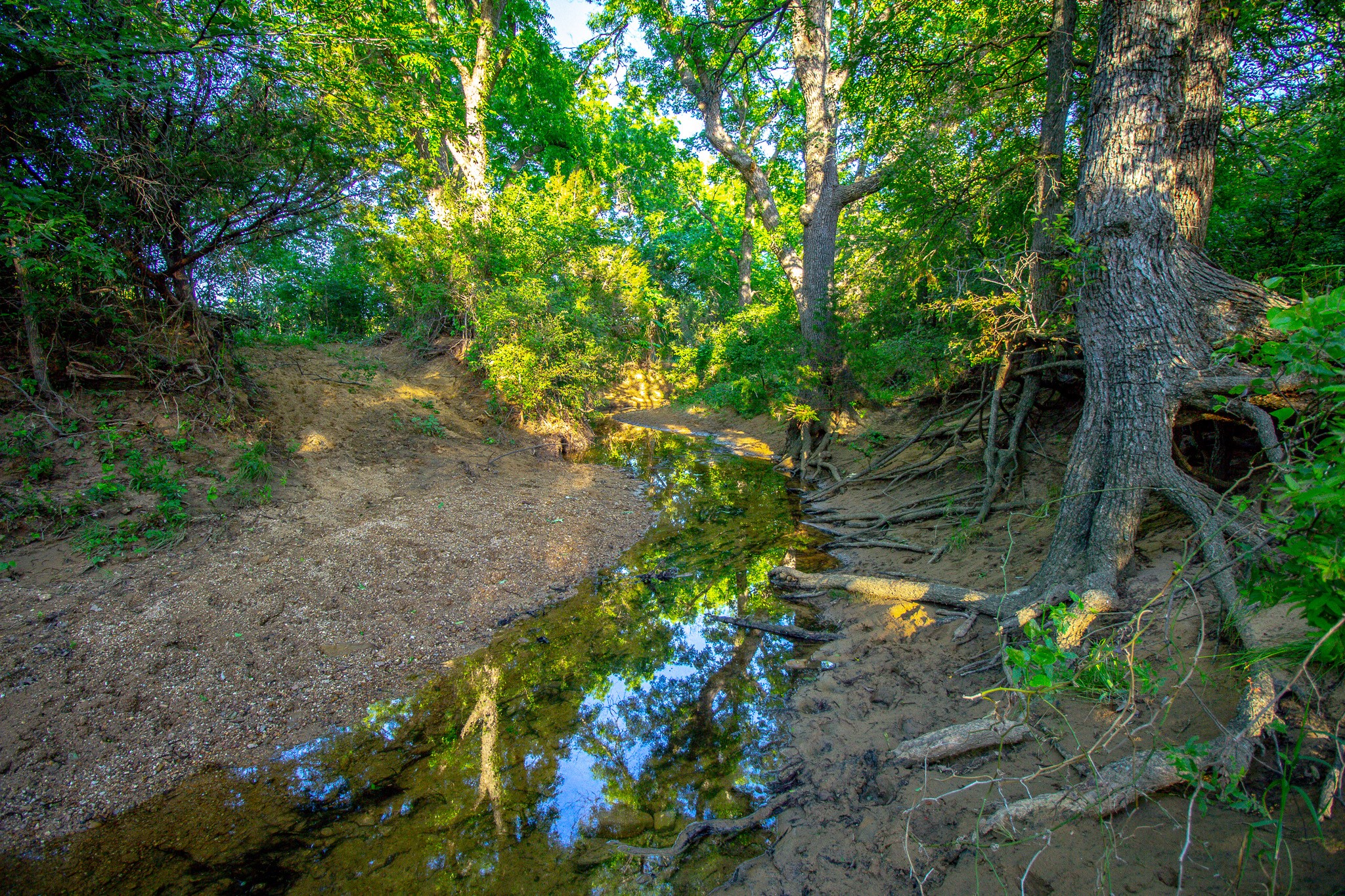 Tbd Burwick Bryson TX 76427