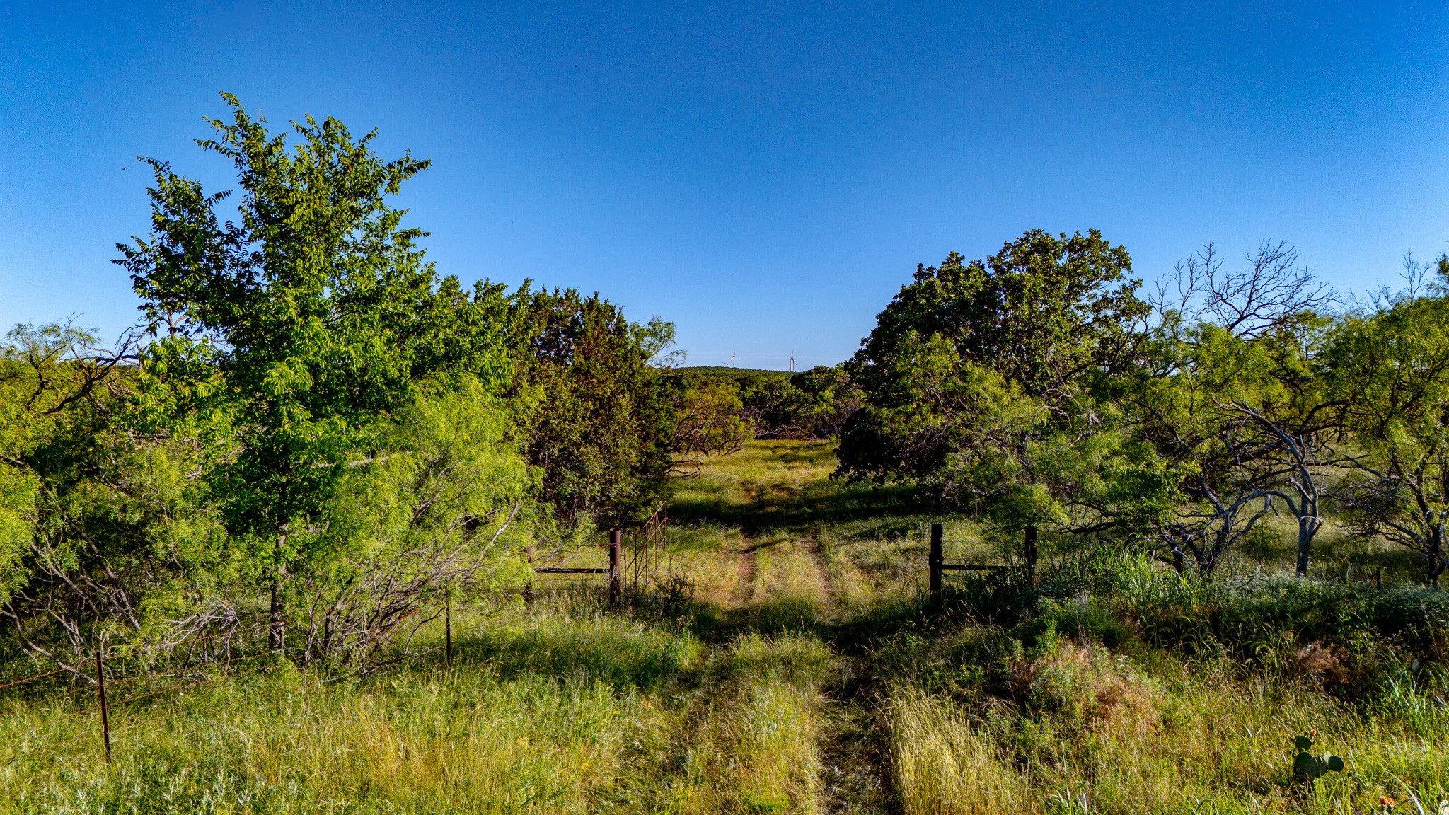 Tbd Burwick Bryson TX 76427