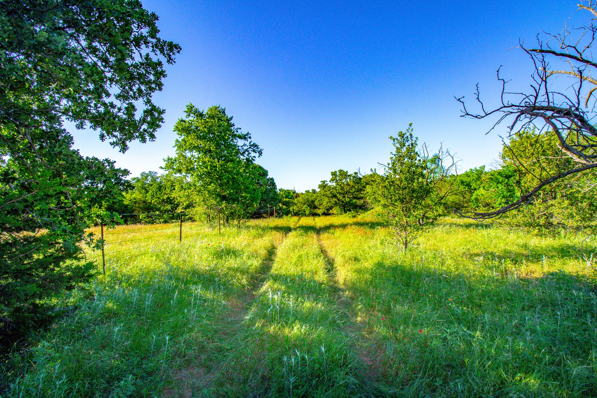 Tbd Burwick Bryson TX 76427