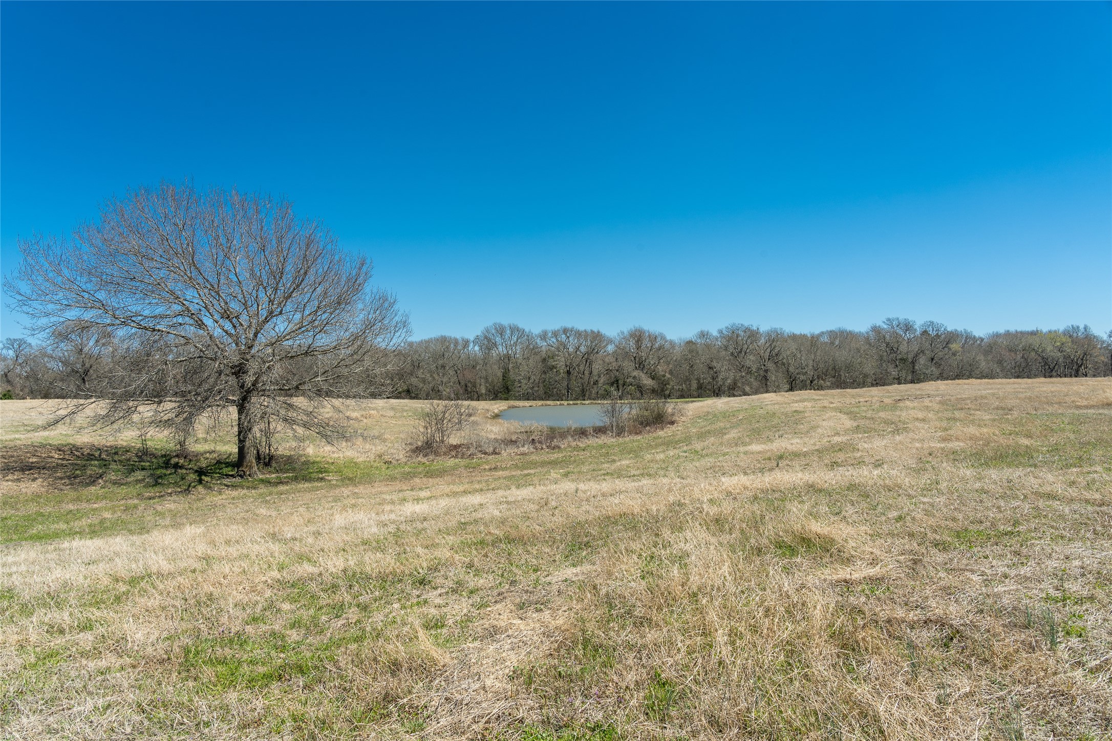 11016 County Road 2138 Kemp TX 75143