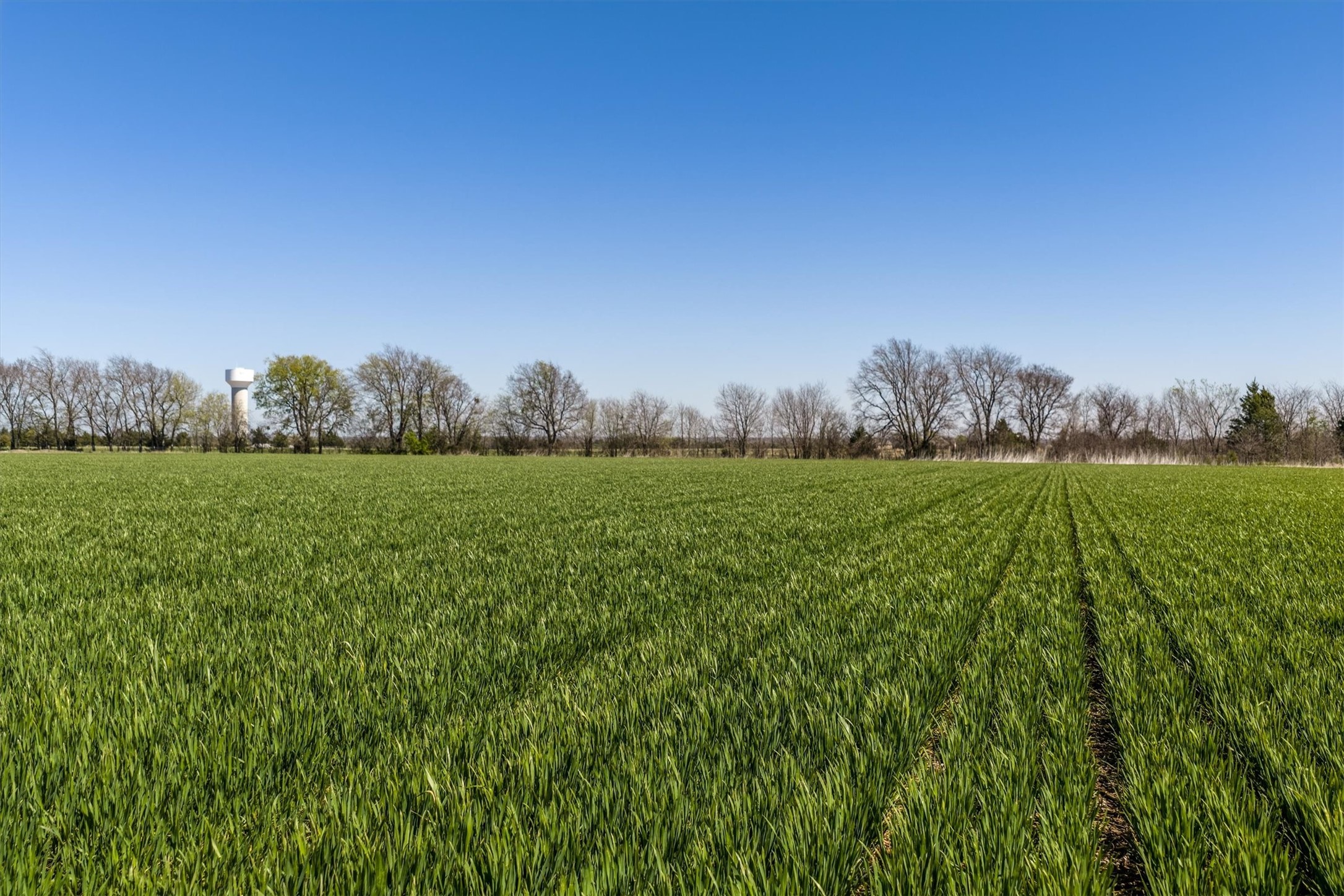 Tbd John Marr Road Van Alstyne TX 75495