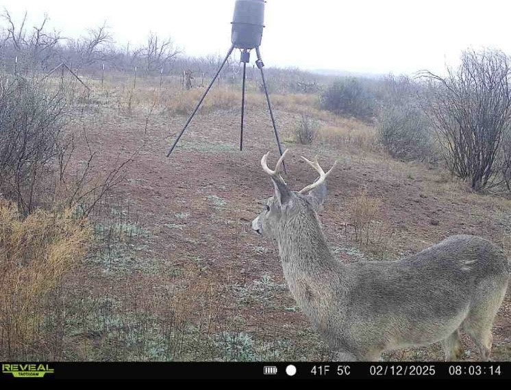 439 County Road 321 Abilene TX 79606