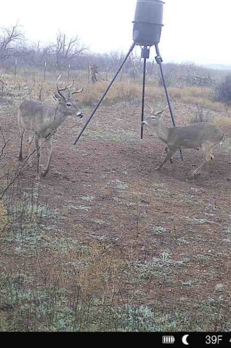 439 County Road 321 Abilene TX 79606
