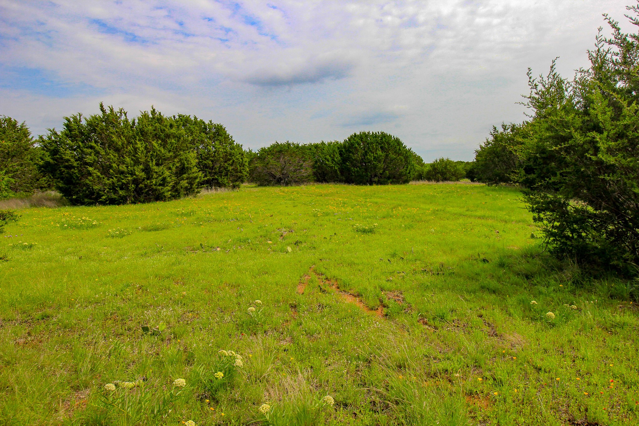 150 Mountain Drive Graford TX 76449