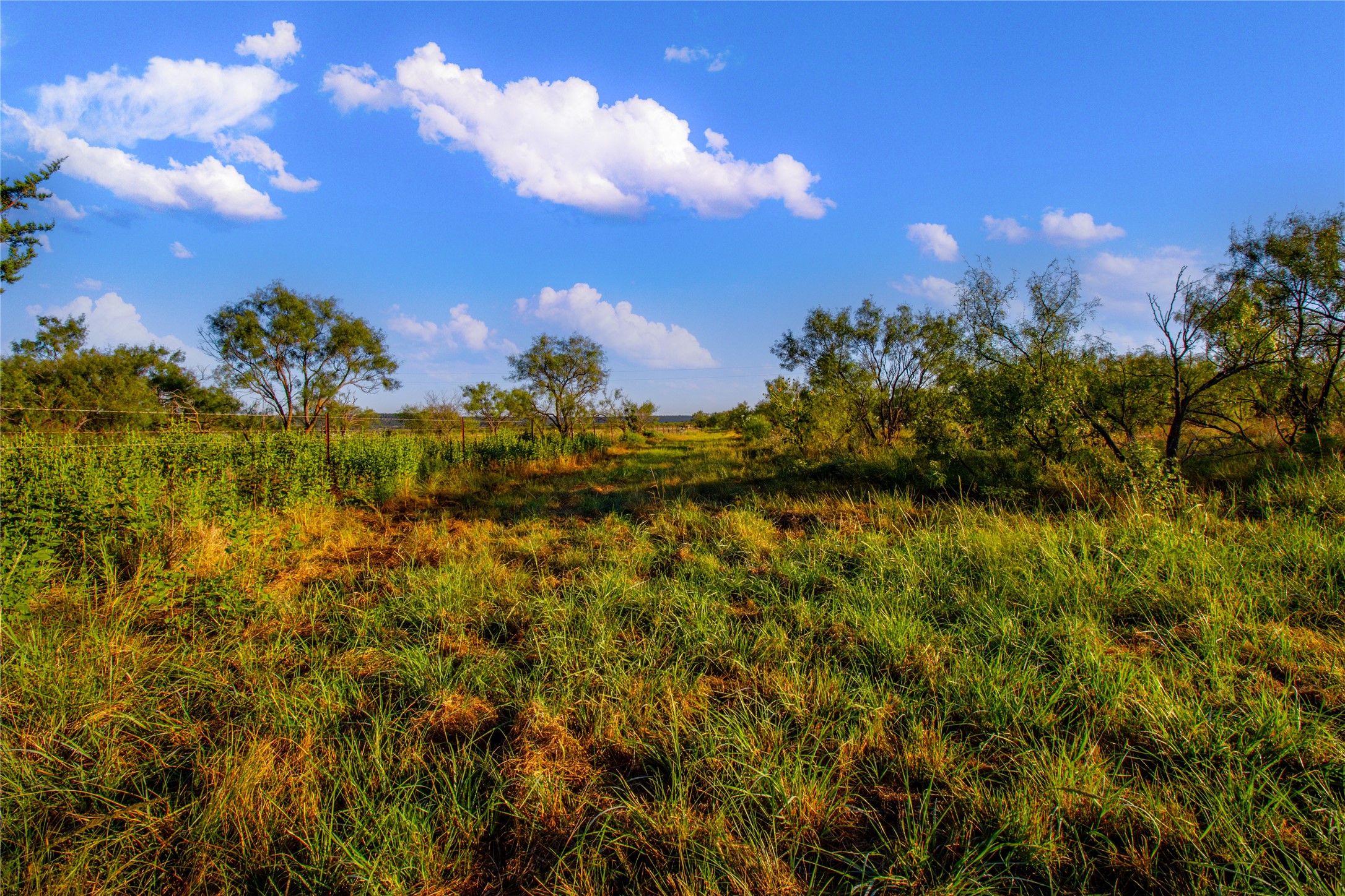 150 Mountain Drive Graford TX 76449