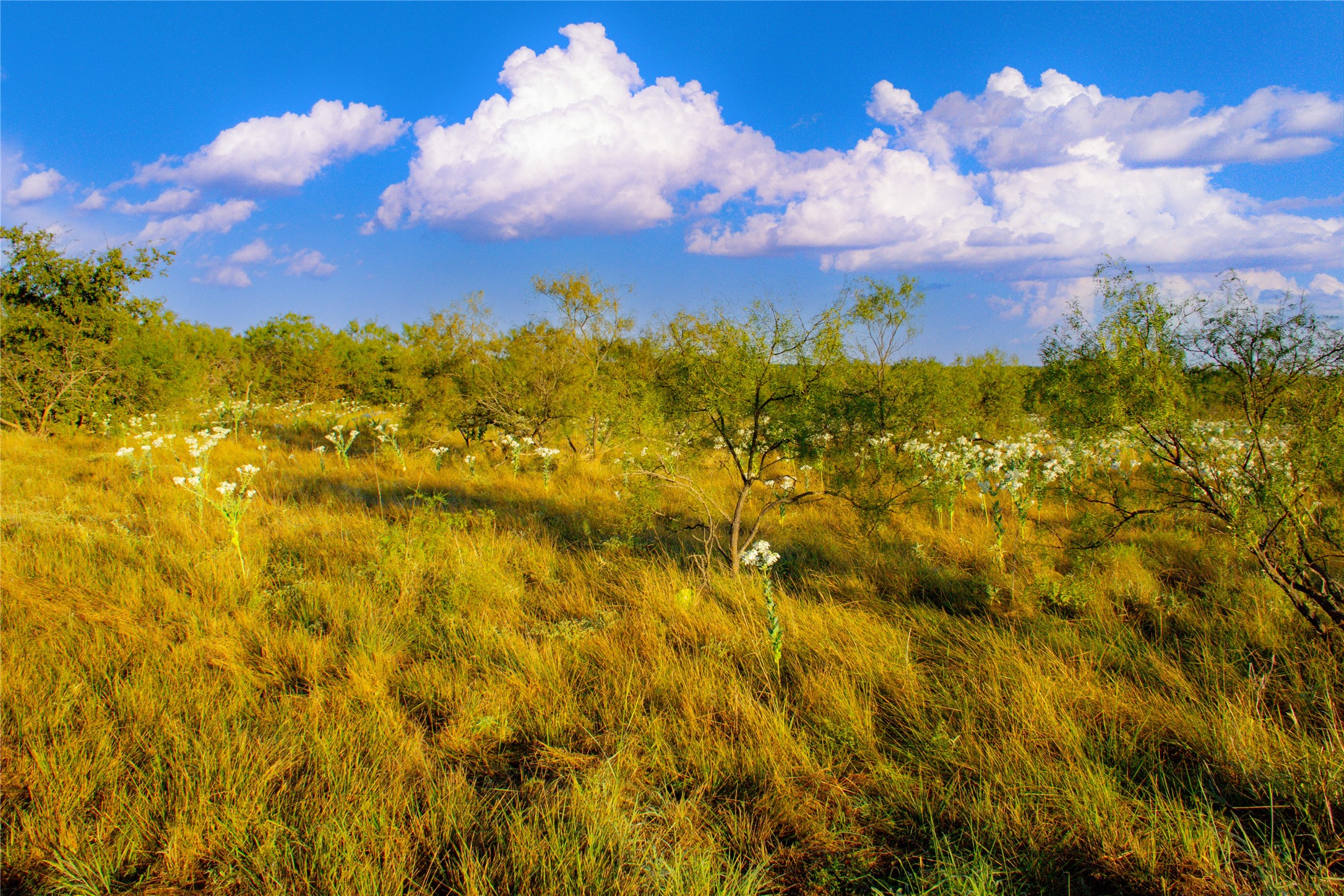 150 Mountain Drive Graford TX 76449