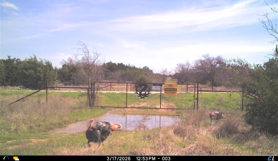 150 Mountain Drive Graford TX 76449