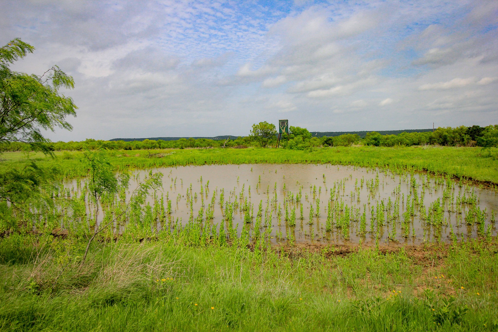 150 Mountain Drive Graford TX 76449