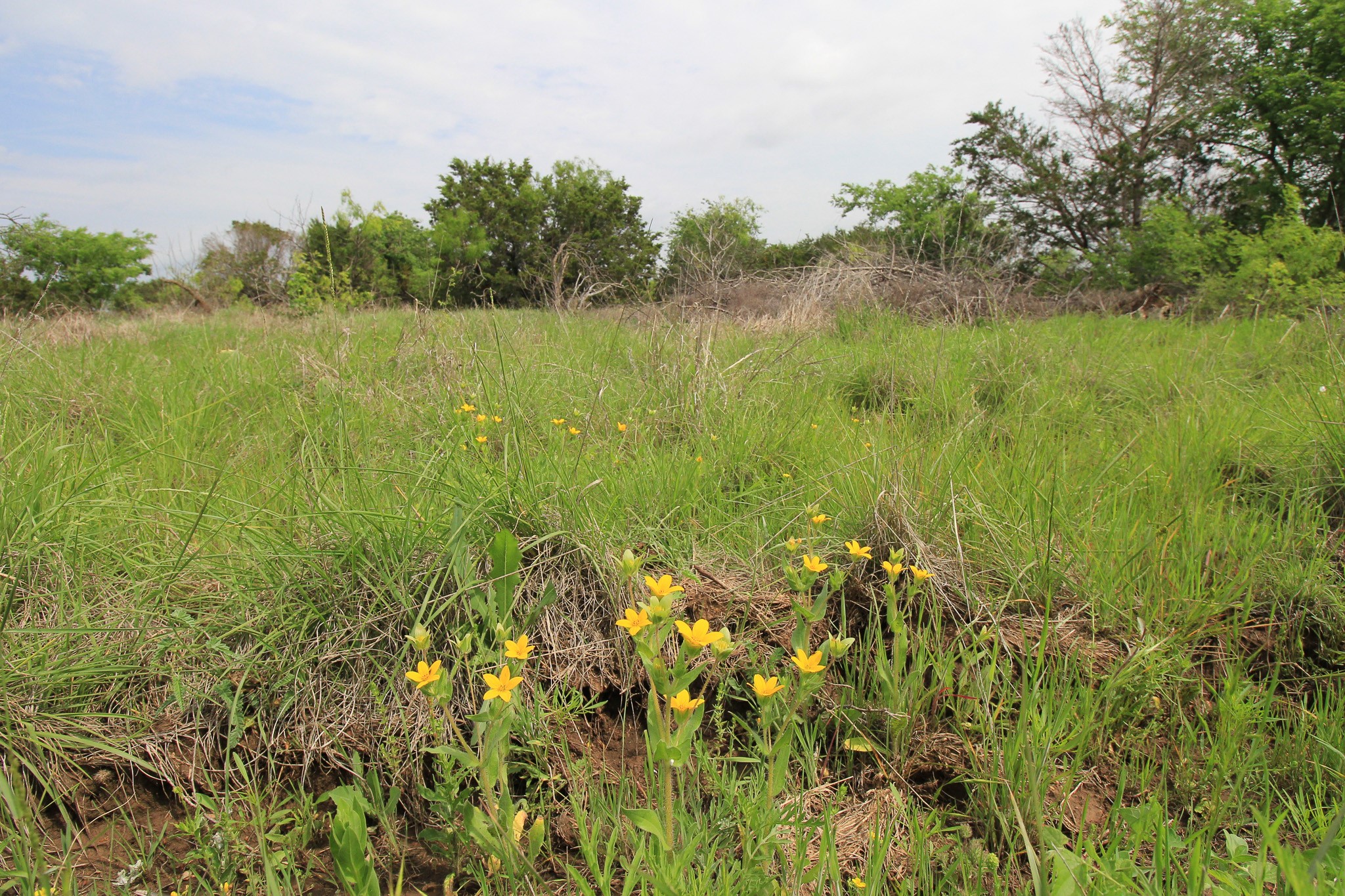 150 Mountain Drive Graford TX 76449