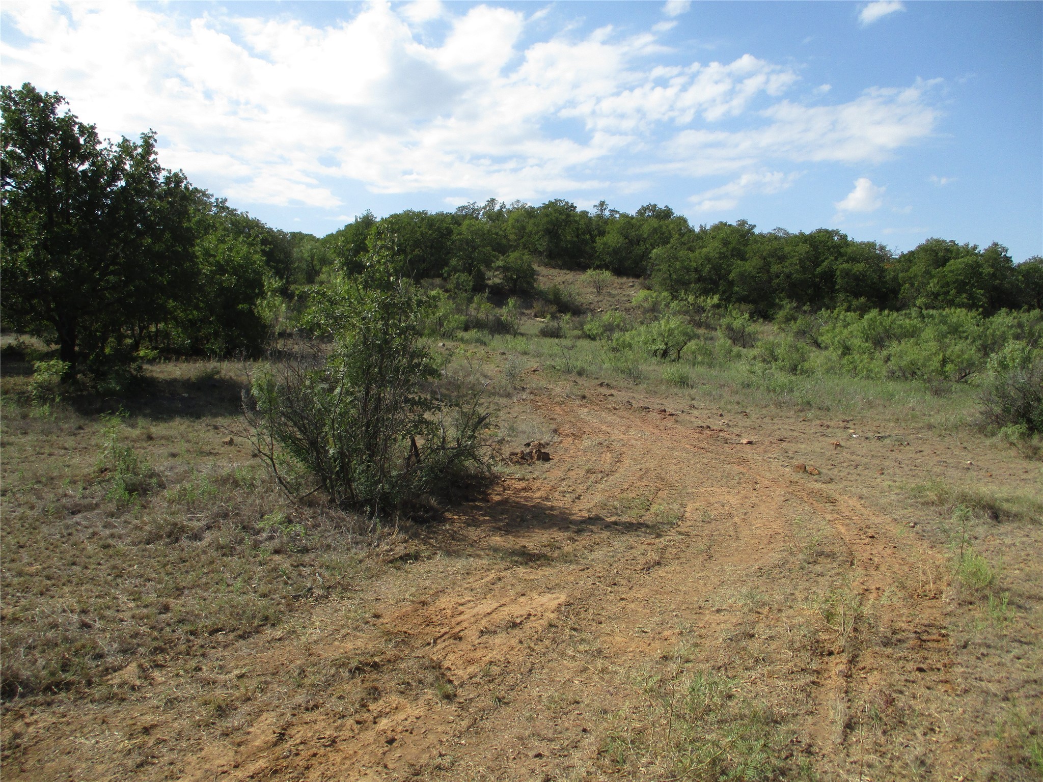 80 Ac Highway 16 Loving TX 76460