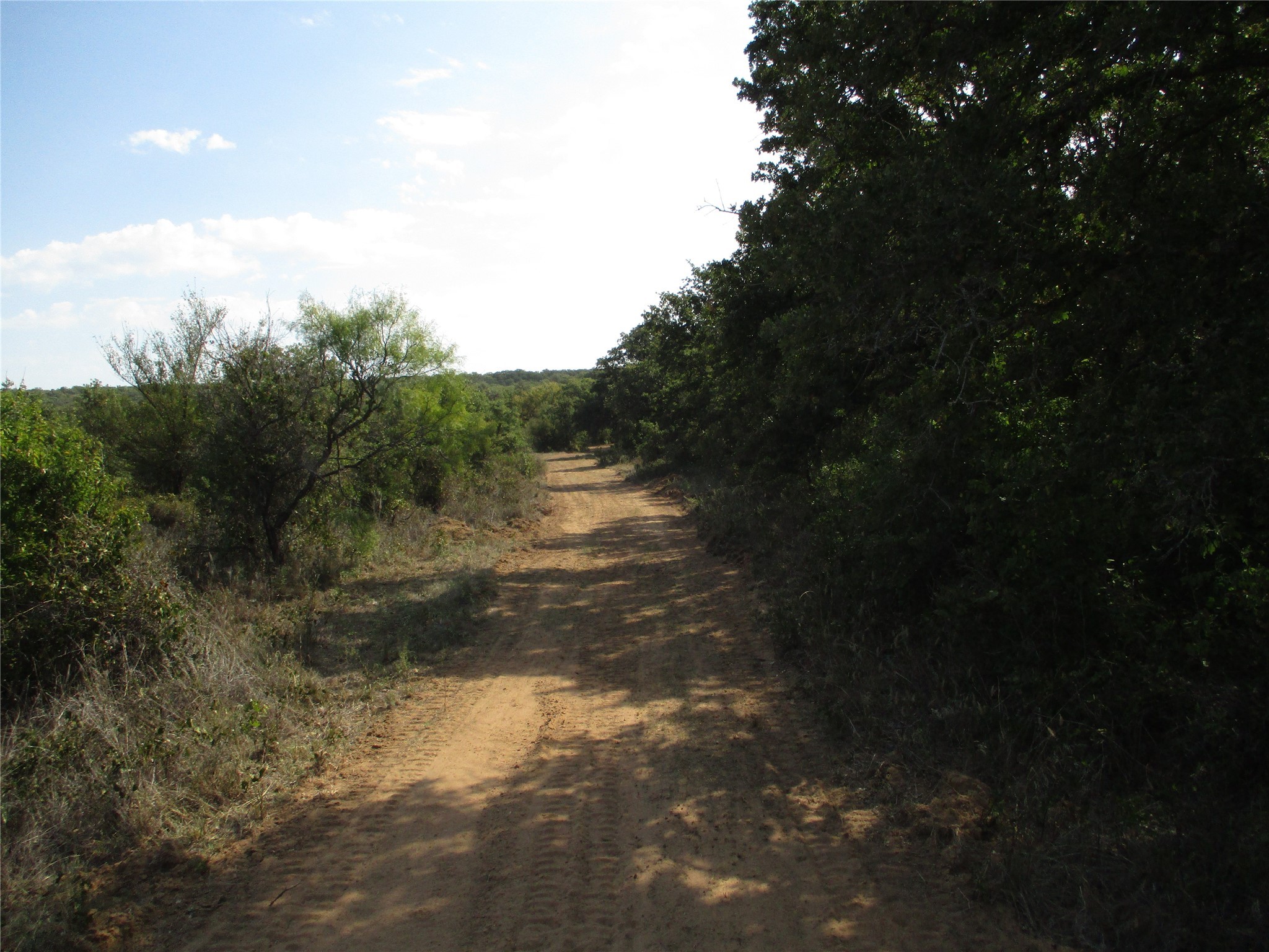 80 Ac Highway 16 Loving TX 76460